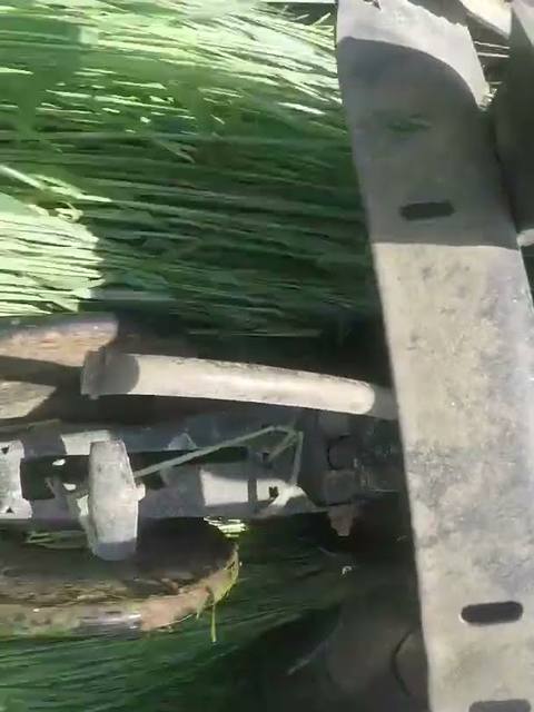 Planting without ploughing